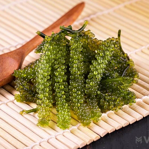 Конкурентоспособные цены и высококачественные натуральные водоросли из Вьетнама