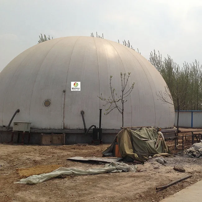 Biogas Plant Anaerobic Fermentation Tank Biogas Digester With Double Membrane Gas Holder Gas Storage Bag