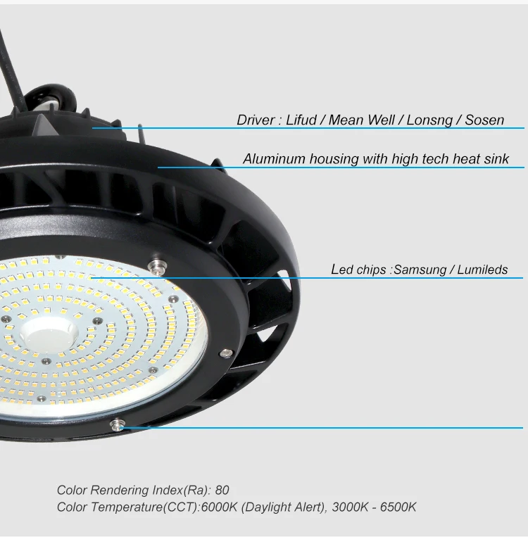 LS-HB02 DLC-5_04.jpg