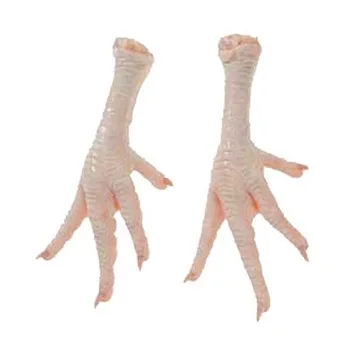 Halal Grade One Chicken Feet / Frozen Chicken Paws Brazil/CHicken Wings