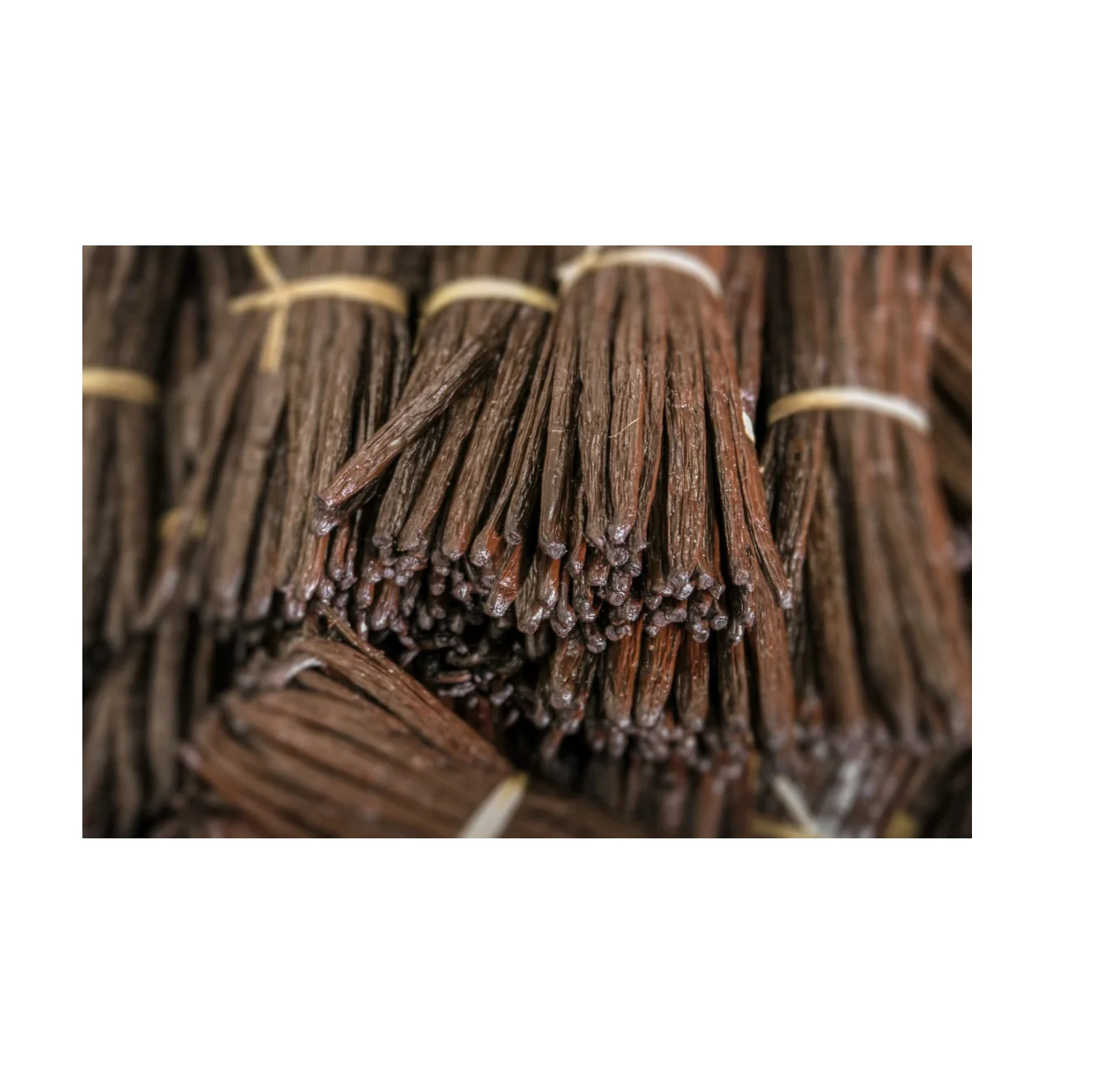 Wholesale Best Quality Vanilla Beans For Sale In Cheap Price