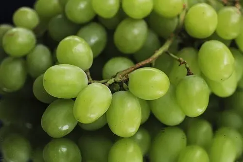 FRESH GRAPES SEEDLESS