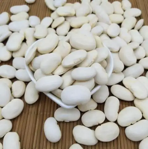 WHITE KIDNEY BEANS LONG SHAPE BIG WHITE KIDNEY BEANS/WHITE KIDNEY BEANS LARGE SIZE 2020 NEW CROP