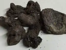 Mochras Gum  Salmaliamalabarica It Is Used To Treat Wounds Acne Skin Blemish Pigmentation Cold And Cough