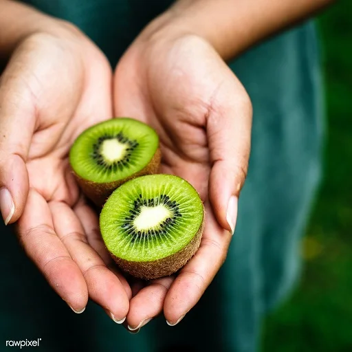 Good Price Quality Fresh Kiwi Fruits