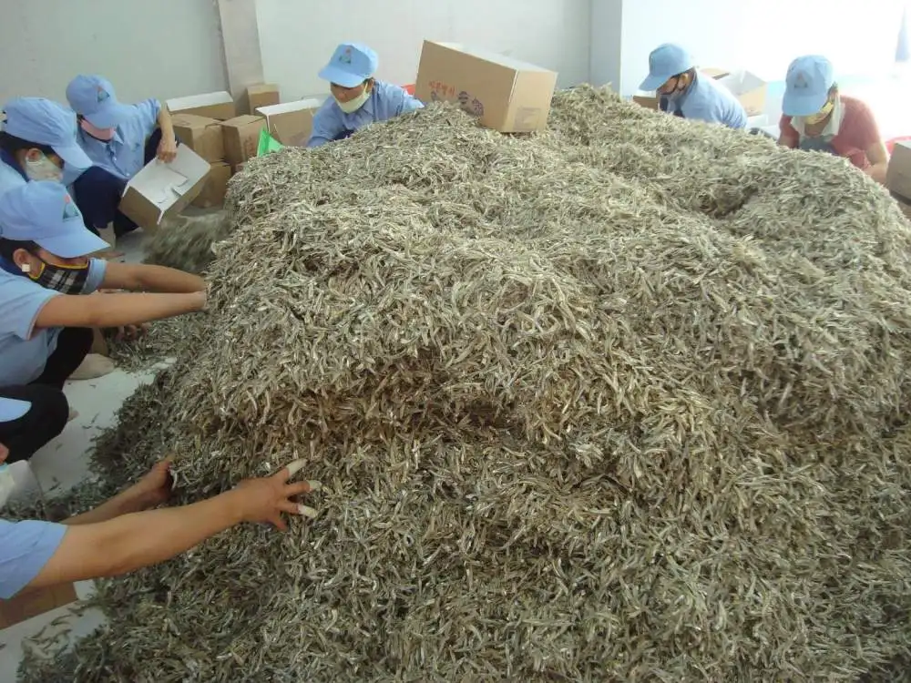 HIGH QUALITY DRIED ANCHOVIES / ANCHOVY / STEAMED ANCHOVIES / Ms. Lima +84 346565938