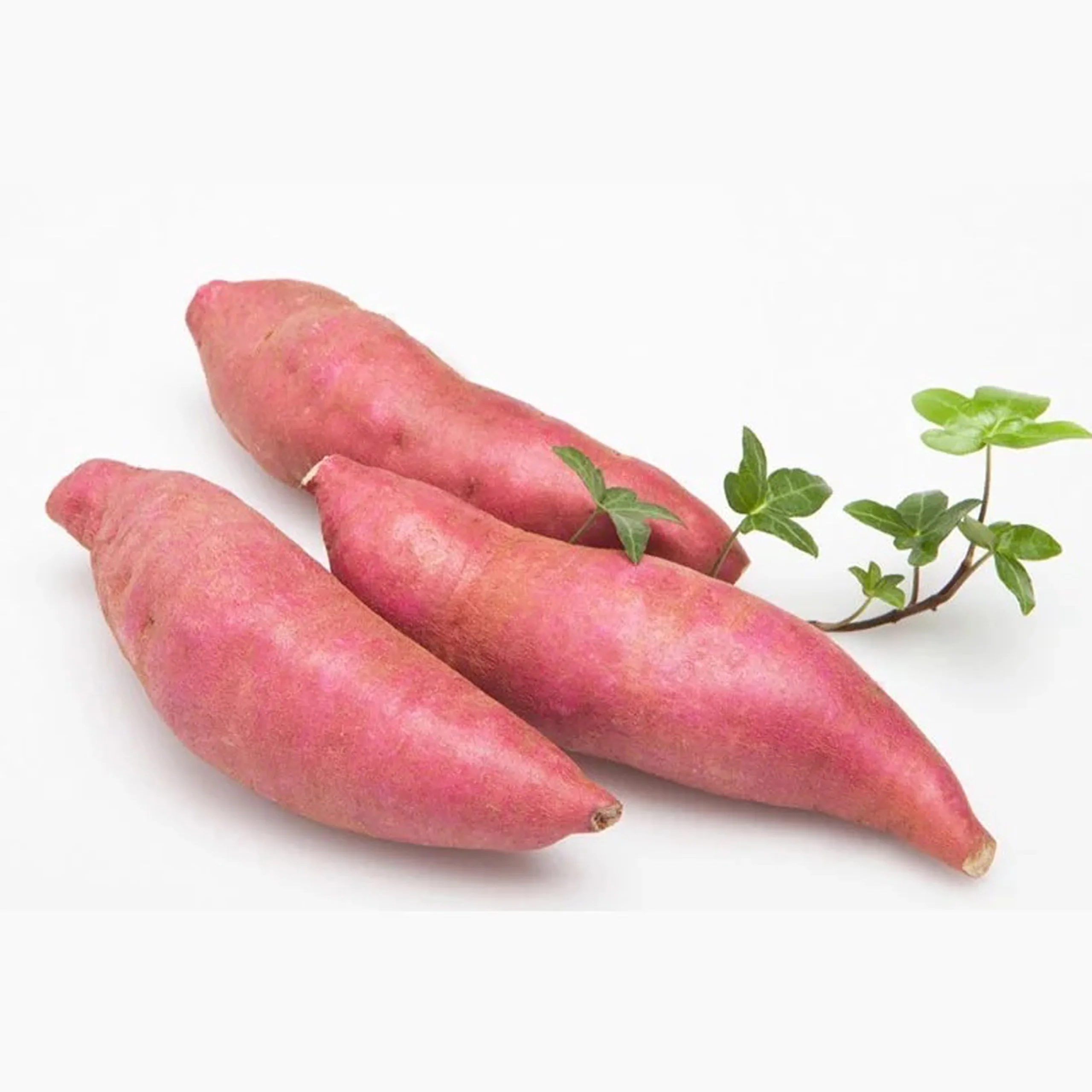 Вкусный японский сладкий картофель для выпечки