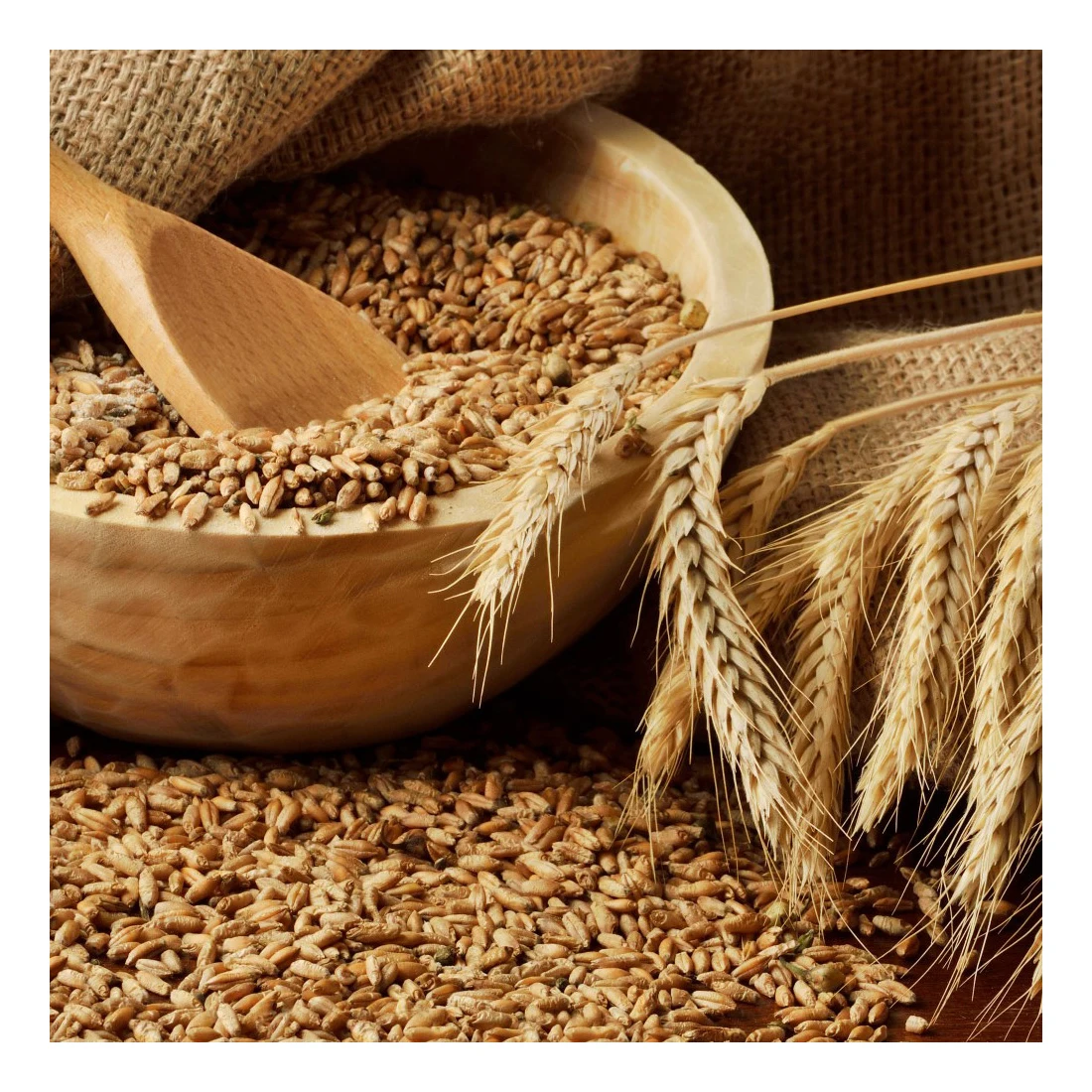 Good priced red lentil for cooking