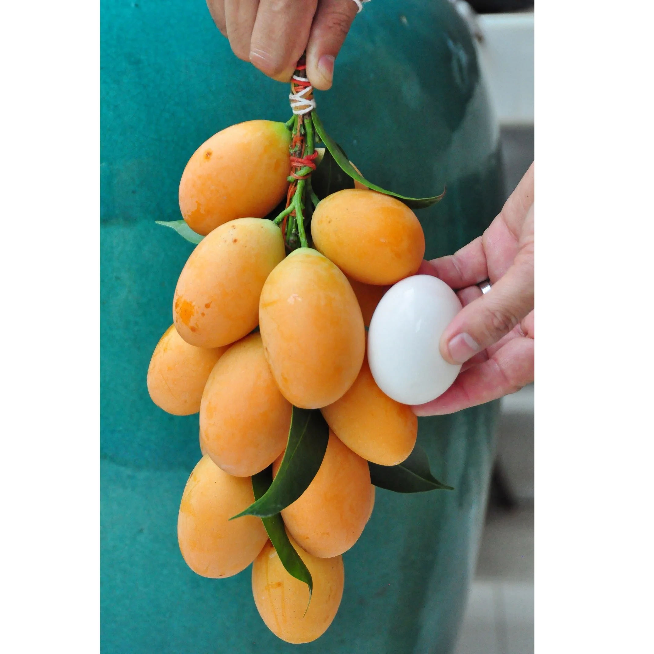 Provider EWC Brand Thailand Fresh Cherry Mango SMG005 Sweet Taste And Thick Skin
