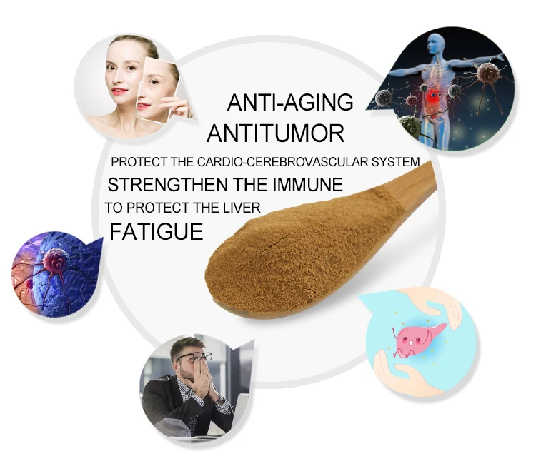  Focusherb Cycloastragenol 5% - 99% Astragaloside IV 0.3% 98% Astragalus