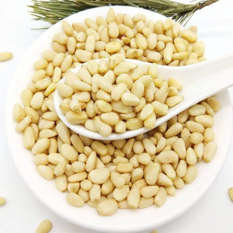 Pine Nuts, Best Quality Pine Nuts, Top Pine Nuts