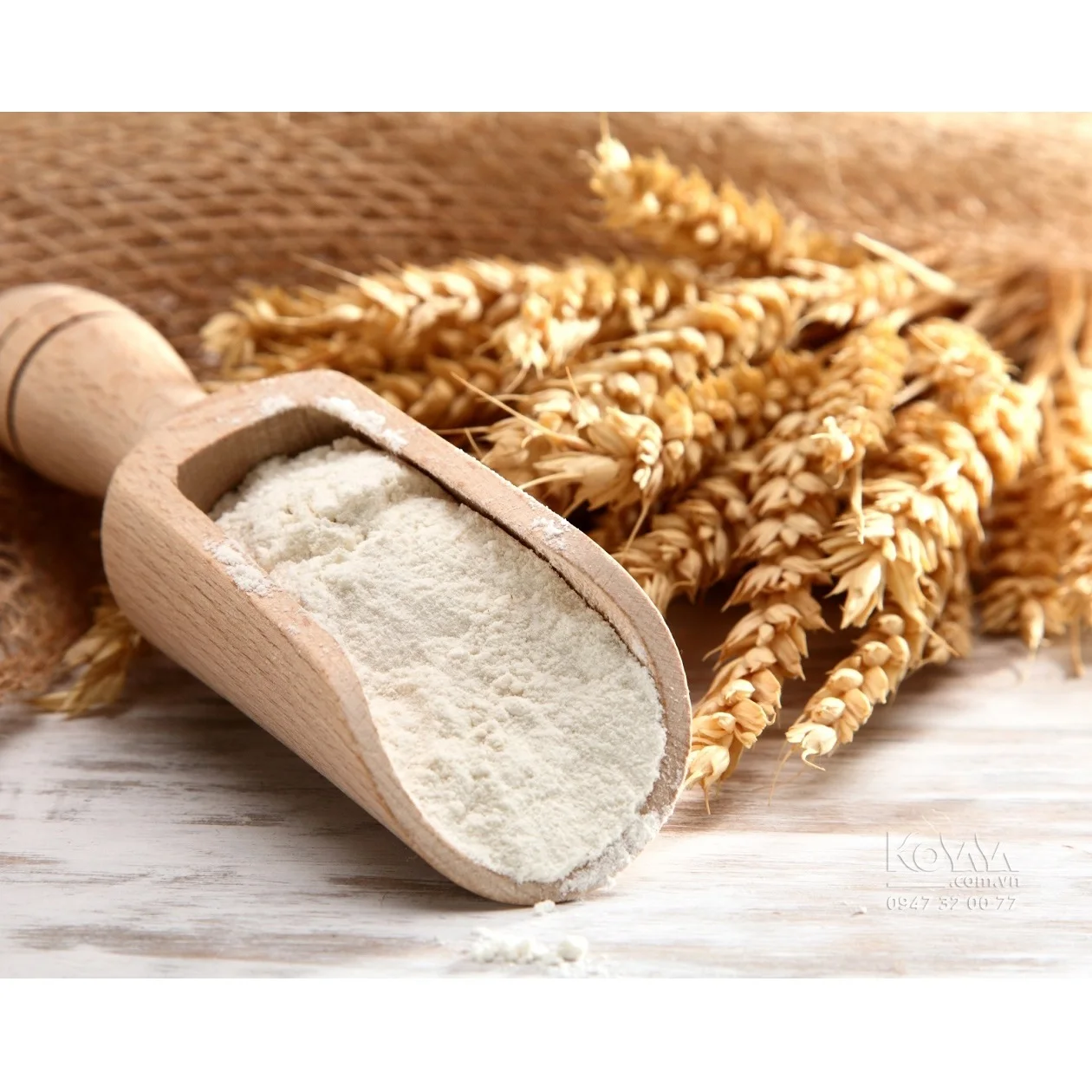 Good Price High Quality 0.5kg Nutrition Flour Fresh White Organic Grain Oat Meal