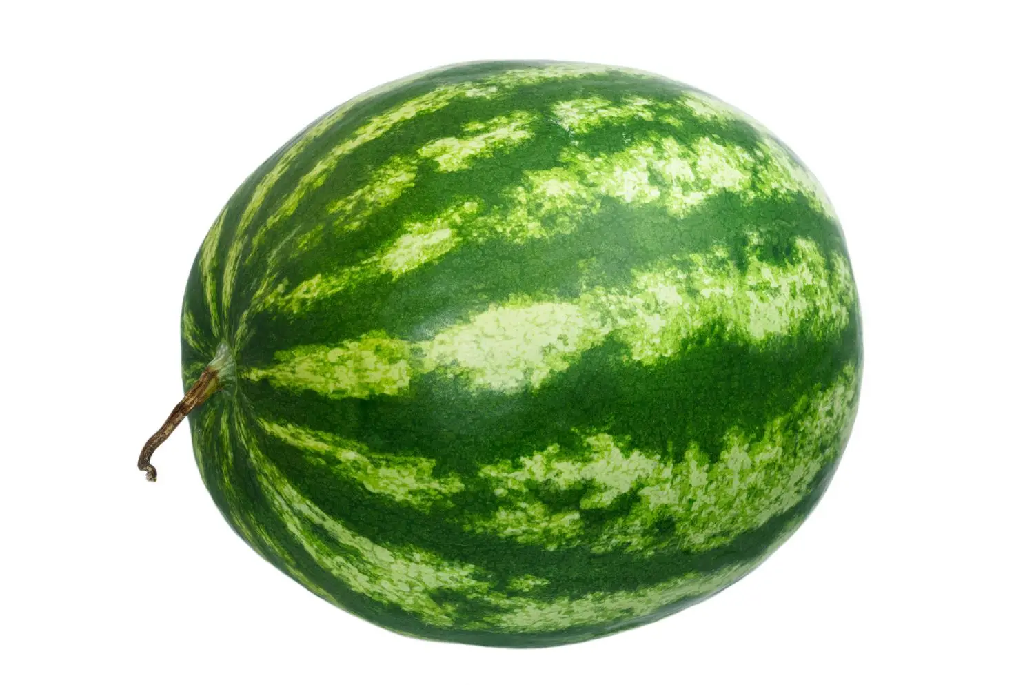 
Premium Water Melon COMMON/Fresh Melons/ Fresh Watermelon for Sale 