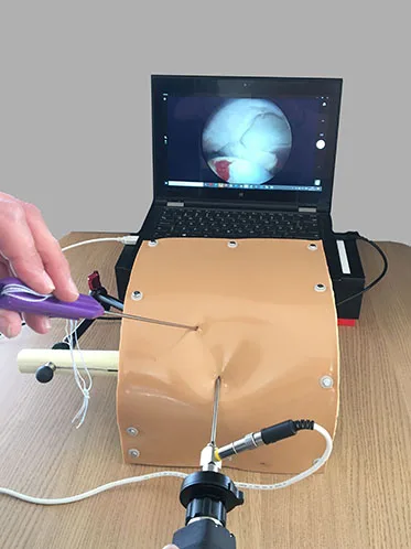 Sawbones 1703-696 Express Arthroscopy Hip