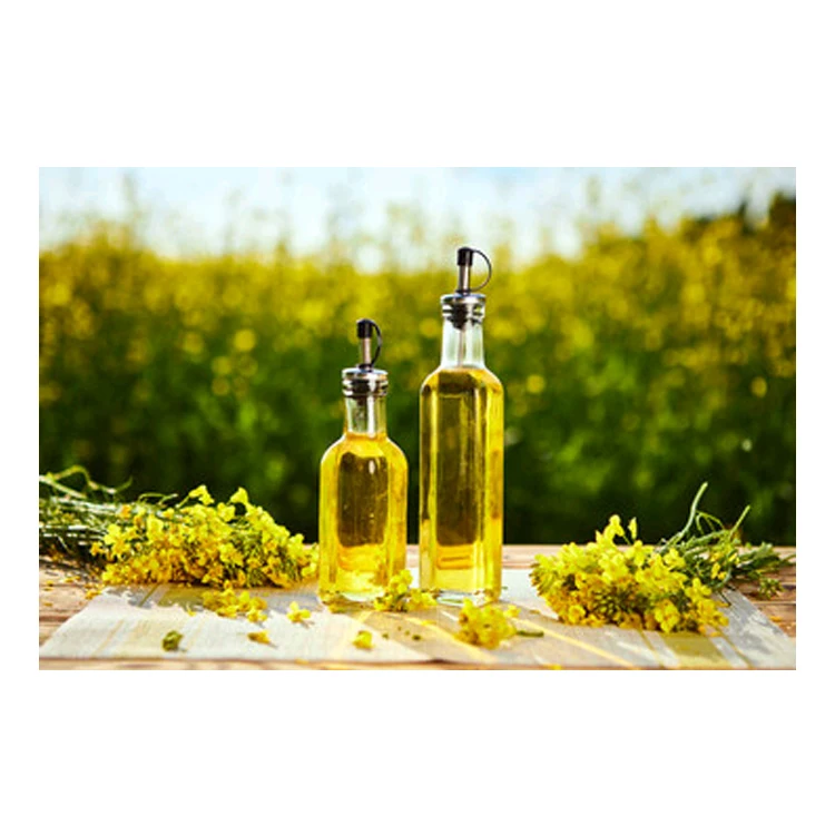 Indian Supplier of High Quality Pure Refined Rapeseed Oil for Wholesale Purchase