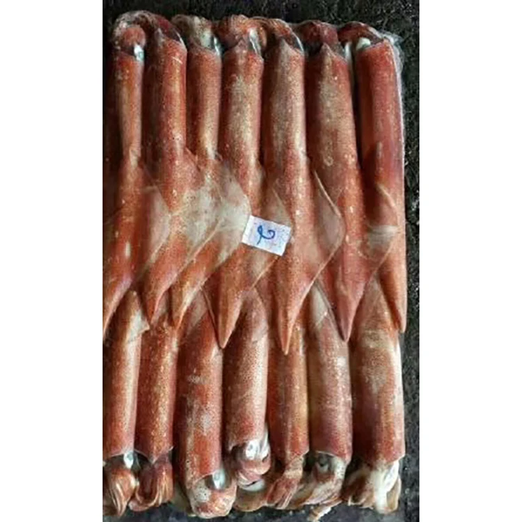 Loligo Squid HACCP Certified Frozen Seafood Supplier