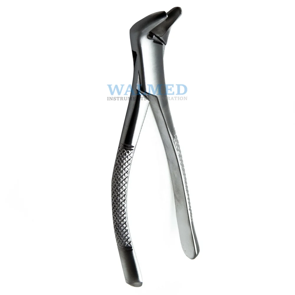 
Stainless Steel Dental Extracting Forceps For Sale / Dental Extracting Forceps 