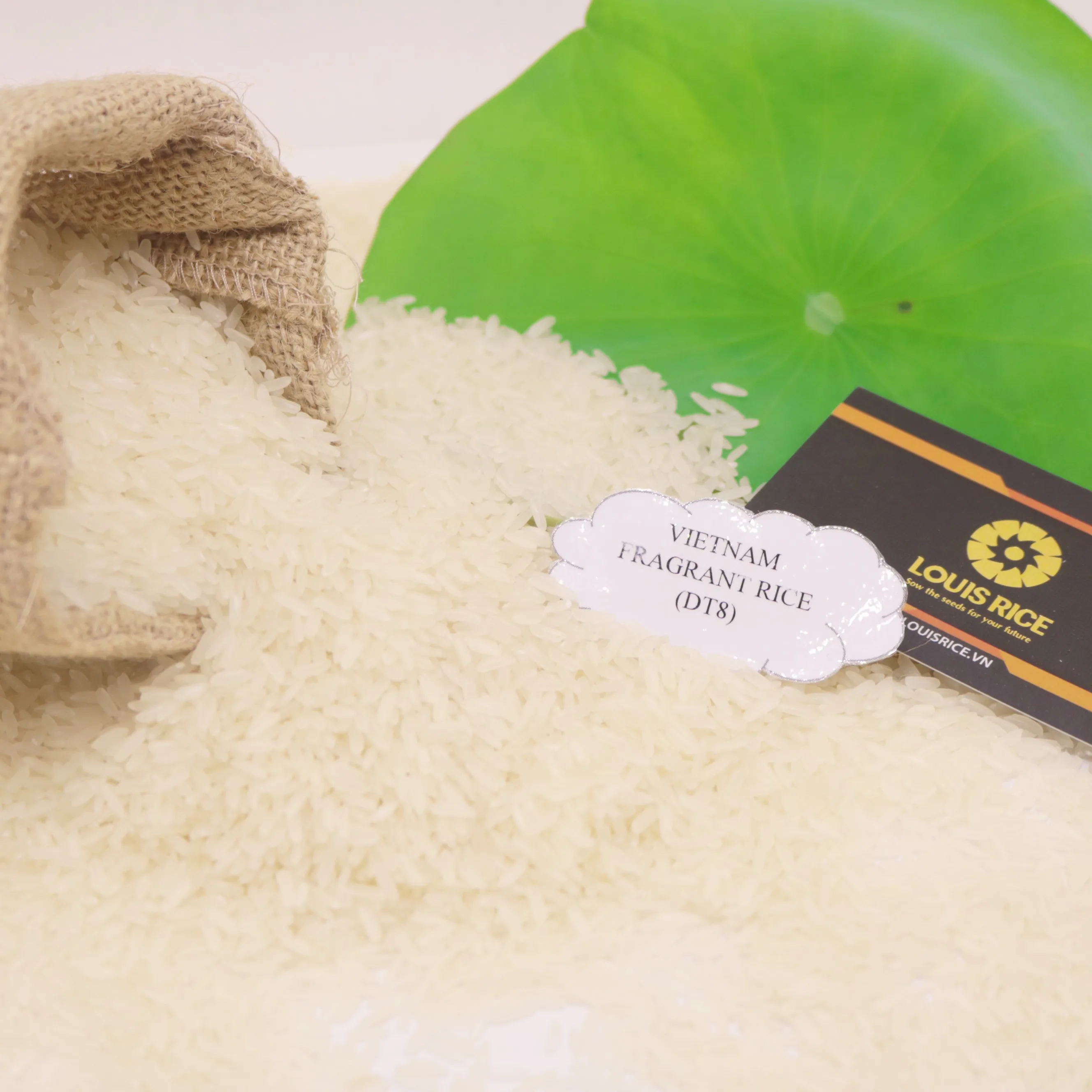 Высококачественный вьетнамский ароматный рис 5% сломанный (DT8)