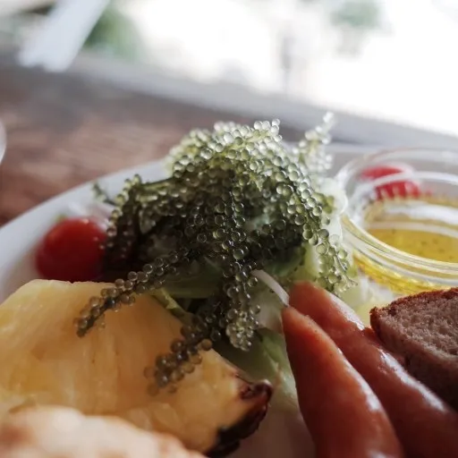  Морской виноград-морские водоросли UMIBUDO лучший выбор для качества 100 граммов из Вьетнама (Ms Деми + 84 961733400)