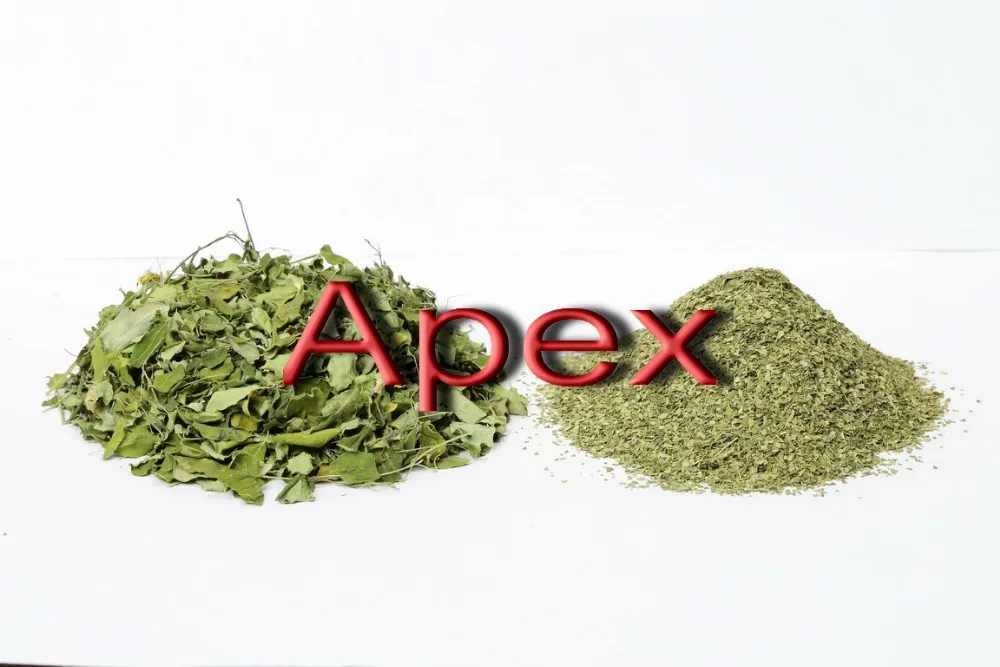 Moringa Leaves T Cut  Powder Organic Moringa Oleifera Leaves