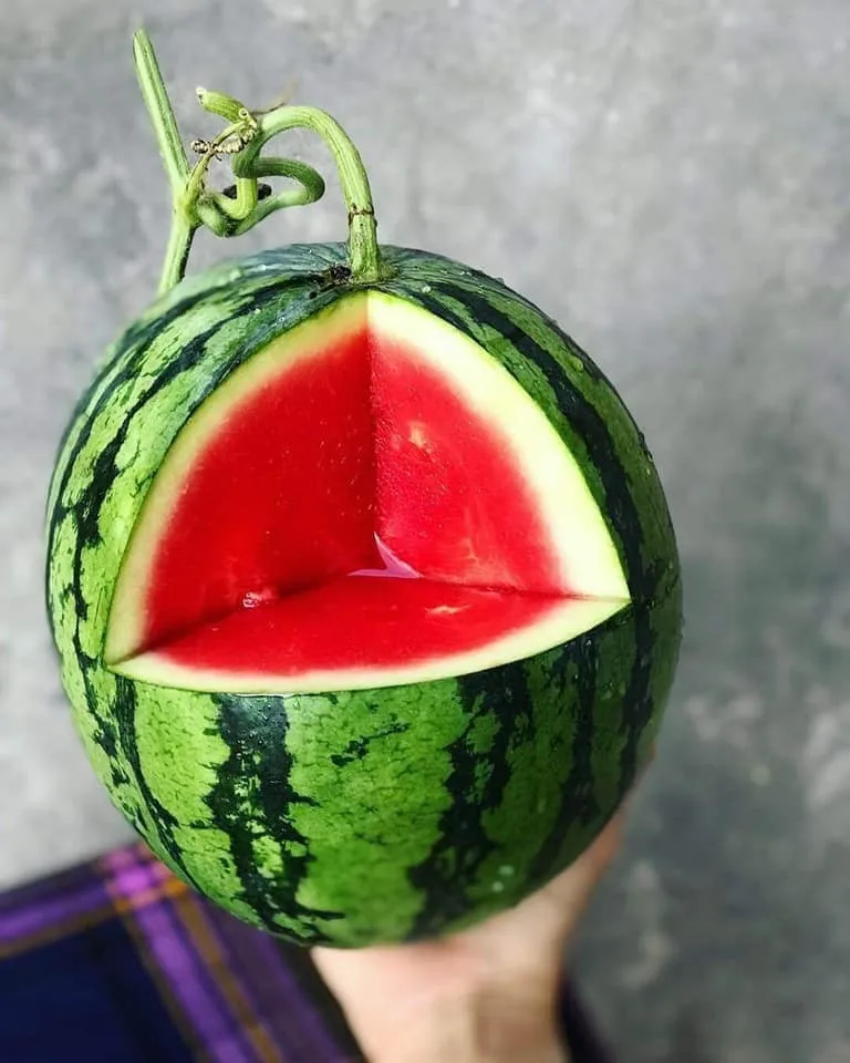 
Fresh water melon/Fresh Melons/ fresh watermelon Wholesale 