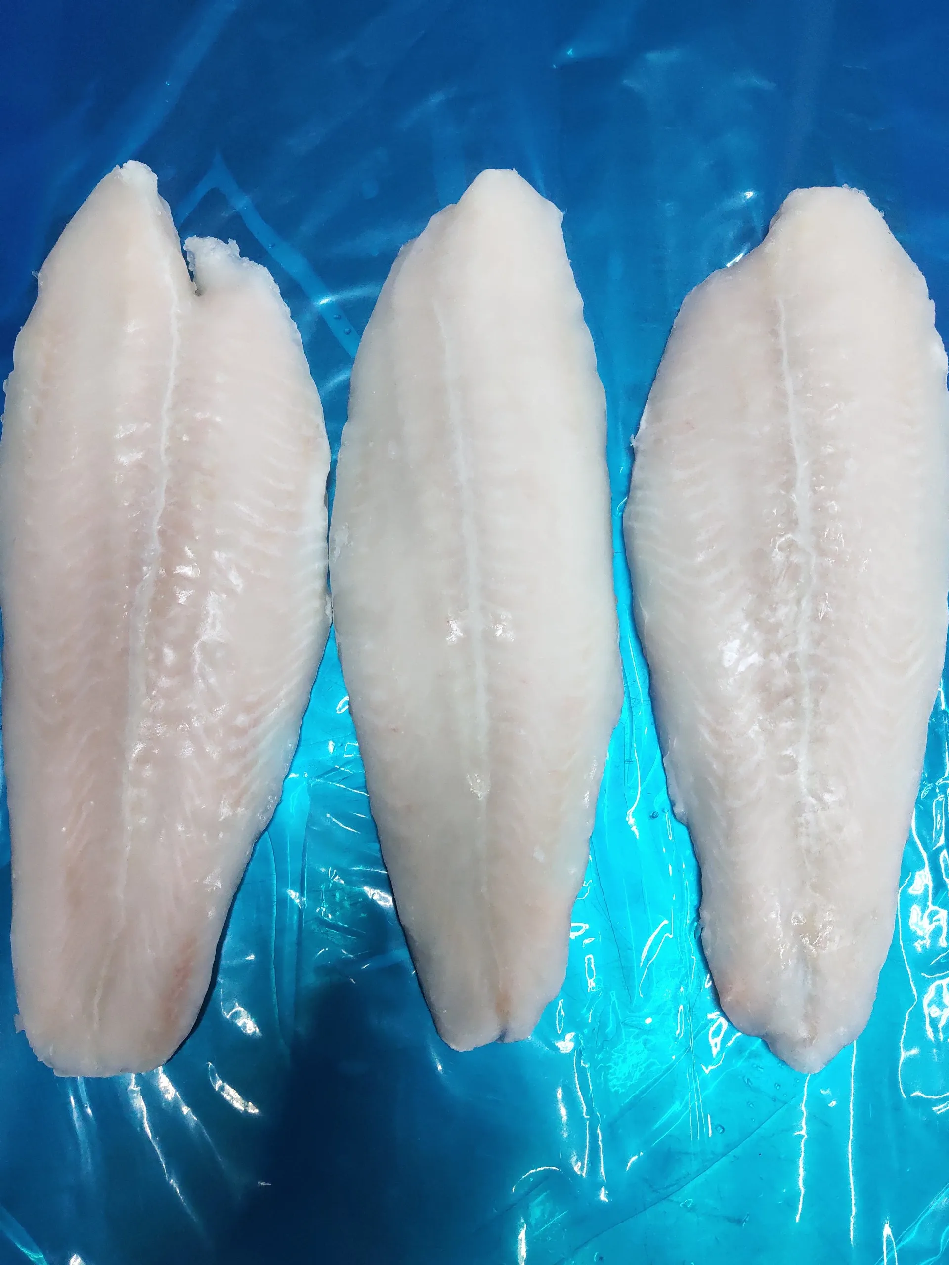 Nutritious Frozen Pangasius fillet/ Pangasius Bocourti fillet/ Basa fish fillet with Good Price