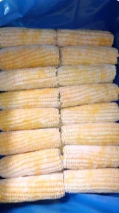 Cheap Price Kernels Frozen Sweet Corn Kernel Nature Product FROZEN SWEET CORN Fryst A Grade Frozen Corn Cob and Whole Maize