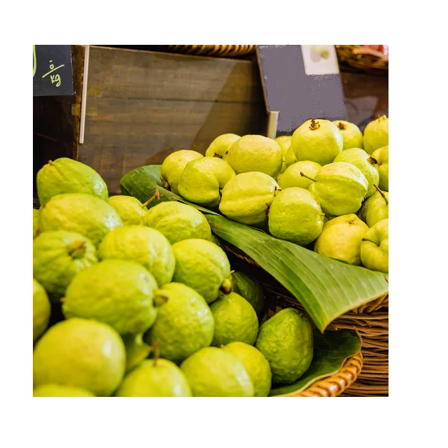 High Quality Organic Guava Fruit In Reasonable Prices