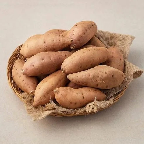  Экспорт пищевых продуктов // японский сладкий картофель YAM из Вьетнама для оптовой продажи только $1/ Ms Sofia + 84 789946878