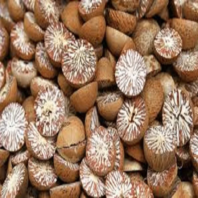 
Great Quality Betel Nuts 90/95 from Indonesia at Best Price 