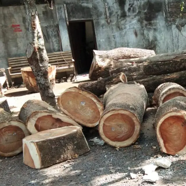 Unfinished wood from African Raintree timber, decking boards and wooden panels