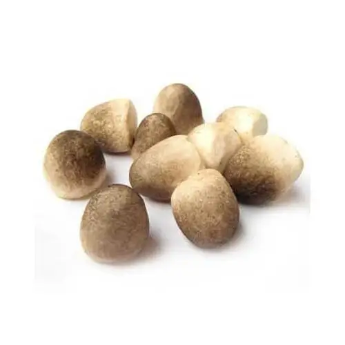 Оптовая продажа, замороженные соломенные грибы лучшего качества из Вьетнама-г-жа Нэнси + 84-845-639-639