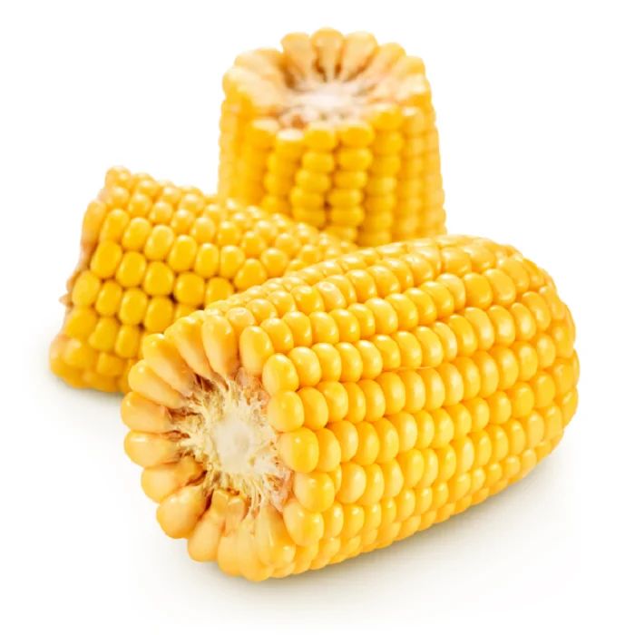 White Corn Color Origin Corn Kernels Top Style Storage Packing Mature FOOD GRADE 1 White and Yellow Corn/Maize Dried
