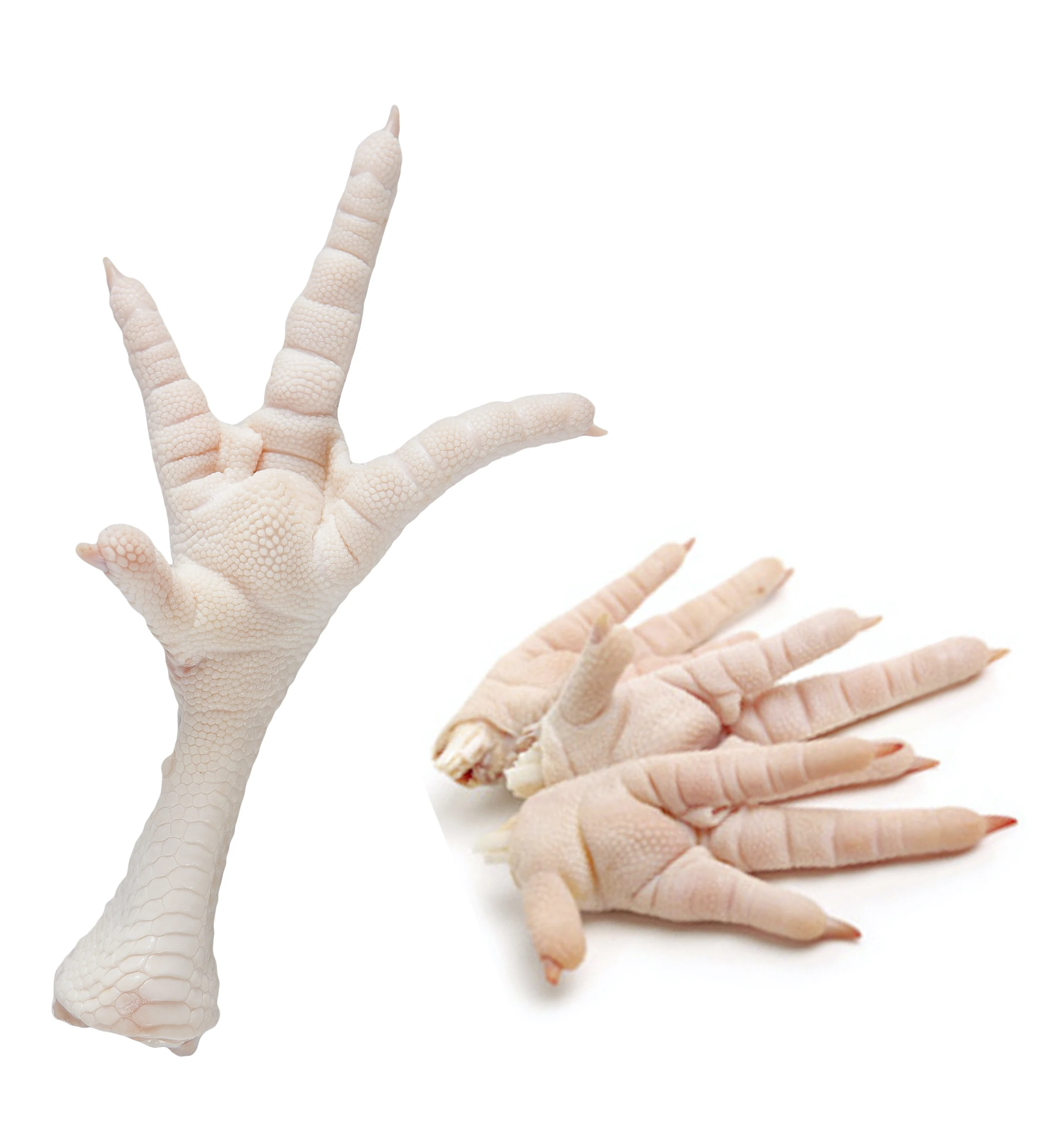 
Grade A HALAL Processed Frozen Delicious White Skin Chicken Feet/Paws 