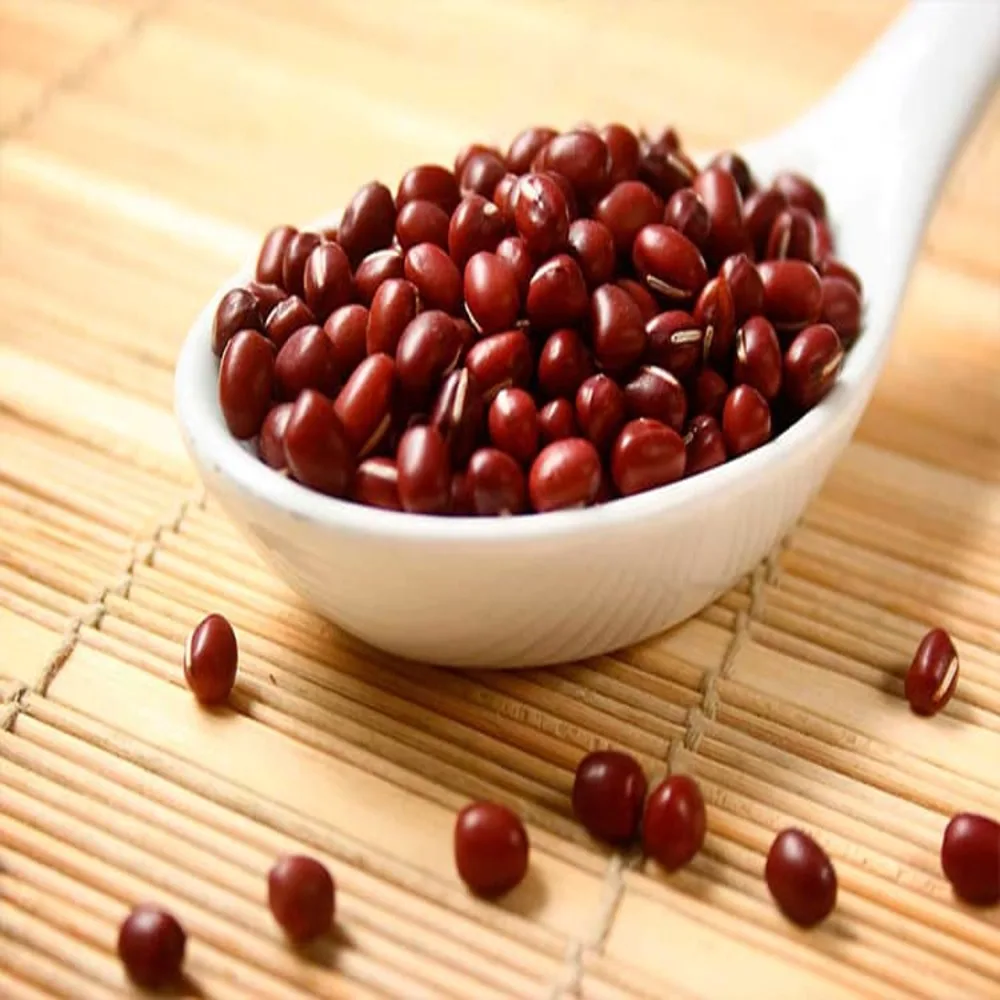 New Crop of Adzuki Beans for Sale
