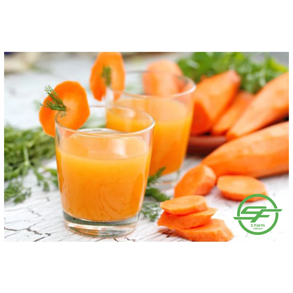 Профессиональная фабрика оптовая продажа свежая вьетнамская морковка высокого качества