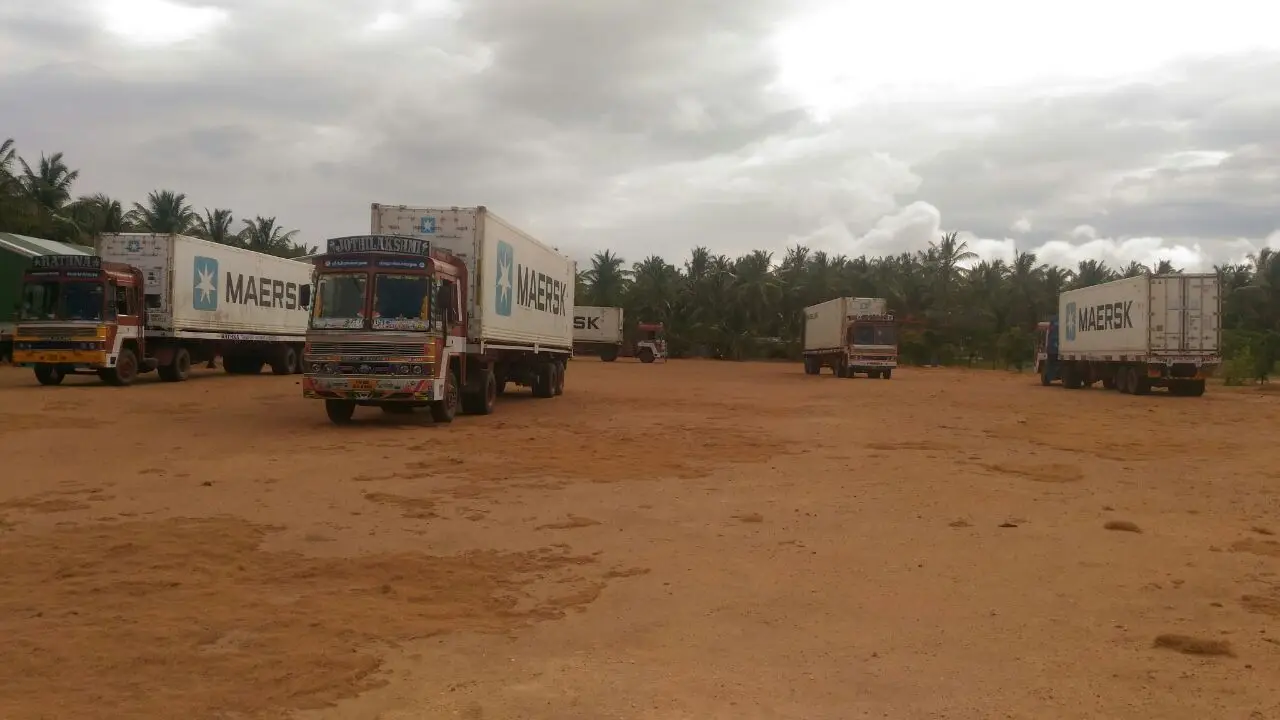 brazil nut / Coconut / semi husk coconut  we supply mature nuts  with regular packing and customised packing