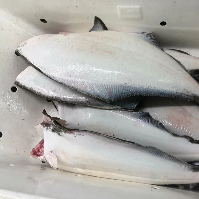 
High Value And No Small Thorns Frozen Fish Flounder Filleting Black Halibut Fresh Frozen Halibut Fish In Bulk 