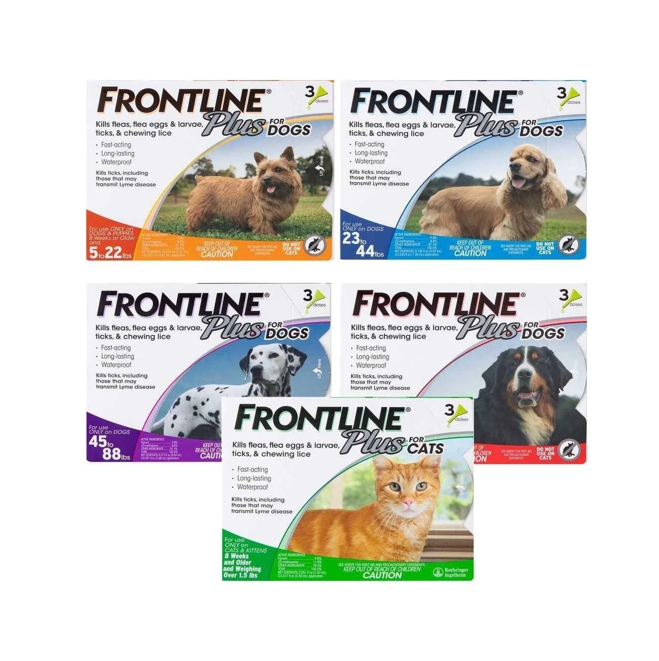 Direct Supplier Of High Quality Frontline Plus Flea & Tick Treatment for Dogs (Small Dogs 5-22 Pounds) Wholesale Price