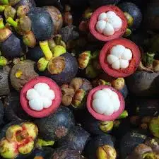 Top quality mangosteen in Vietnam/ Whatsapp : +84 896679047