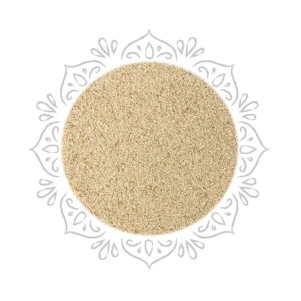Best Price White Poppy Seeds
