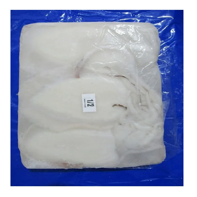 Top quality Cuttlefish cleaned block frozen from India