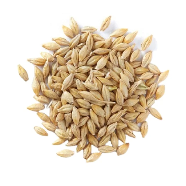 
Barley Grains Premium Barley Seeds/Animal feed barley/bulk barley grains Malted Barley Malt grain for sale Top Grade 