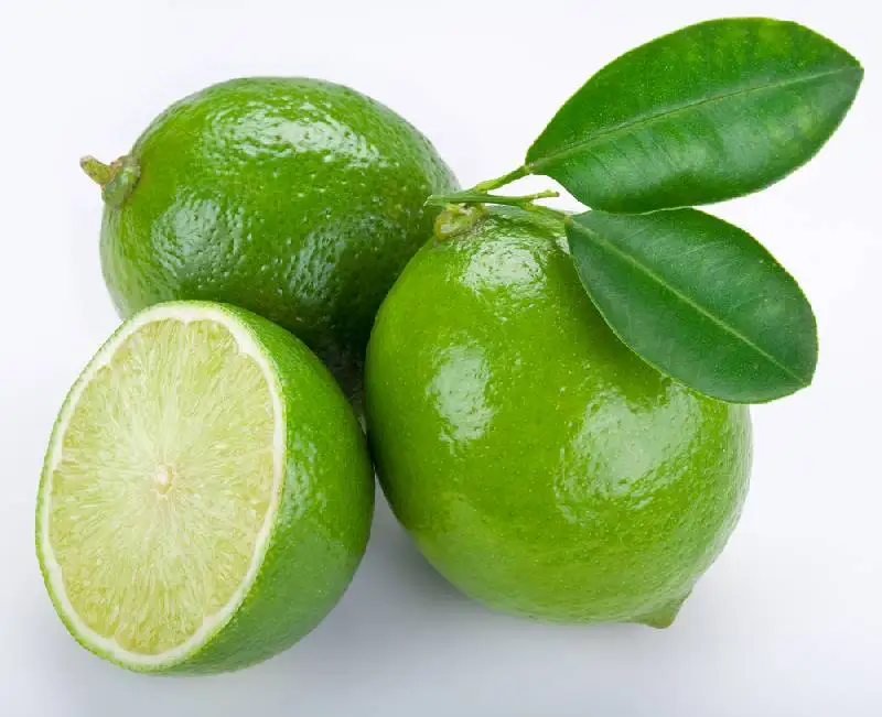 
FRESH LIME/ GREEN LEMON SEEDLESS BEST FRICE HIGH QUALITY FROM VIKAFOODS (WhatsApp/ Wechat: +84 983 028 718) 