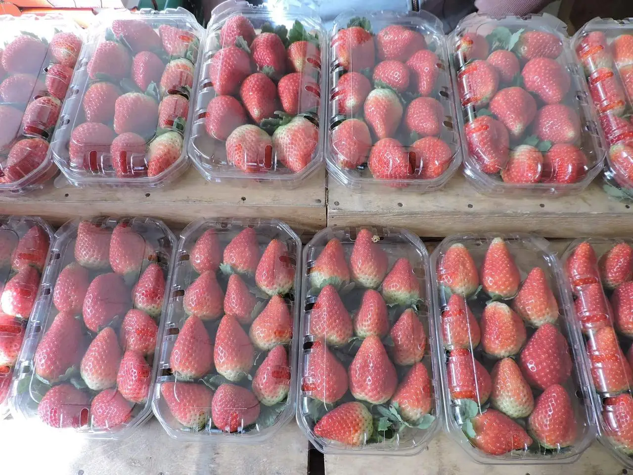 Оптовая продажа хит продаж Вкусная