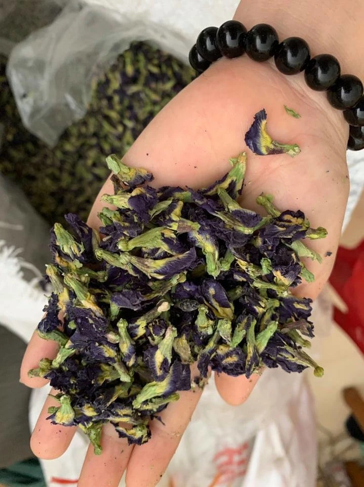 
OEM Tea Bag Packing Blue Butterfly Pea Flower Top Quality - W/A +84 90 335 49 81 