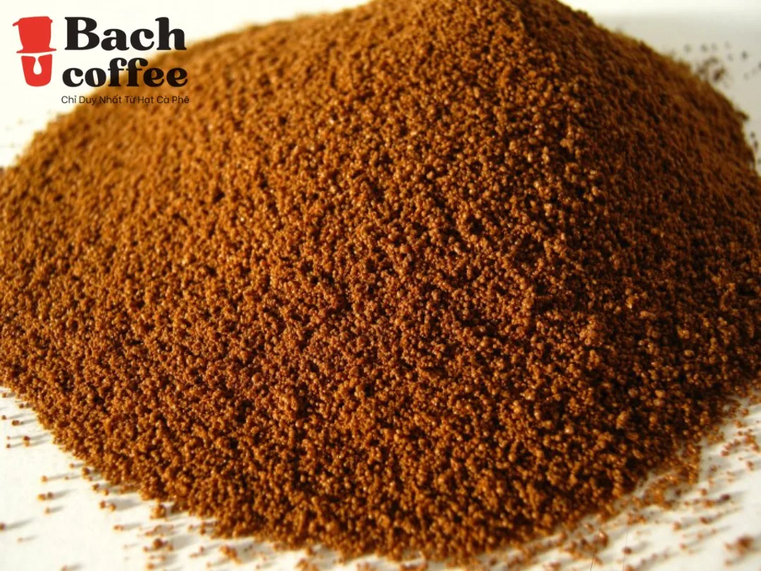 Свежий молотый кофе Cafe Arabica Beans грязевая лампа с кардамовым робуста-небольшая партия и дизайн OEM.