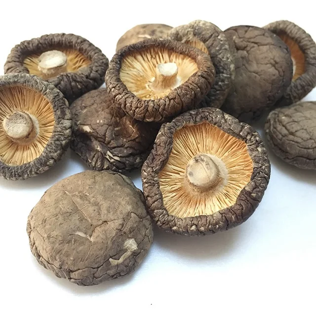  Denmark Detan Dried black morel mushroom price