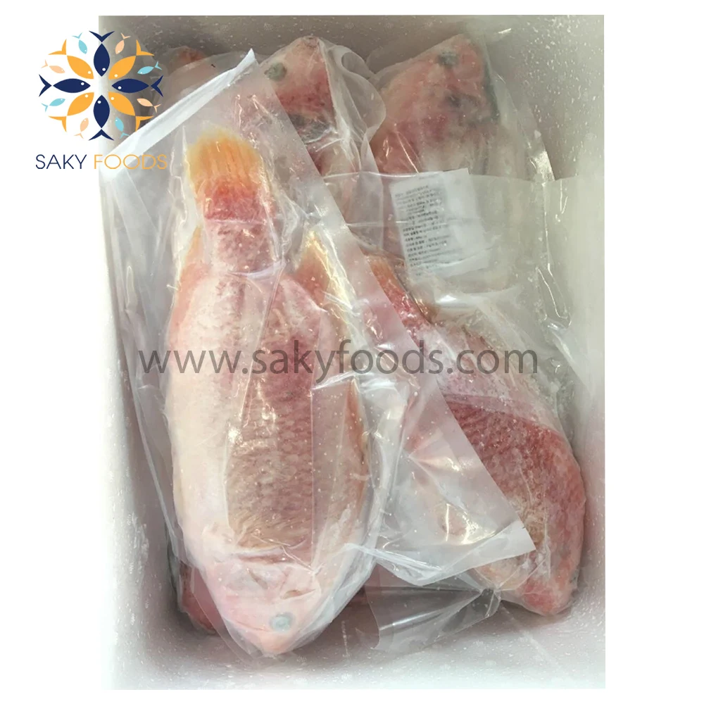 Frozen Red Meat Tilapia Fish With Good Price