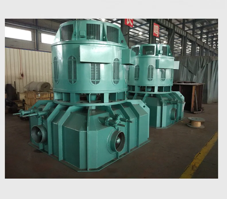 
Vertical Pelton Turbine above 800kW for Hydroelectric Generation 